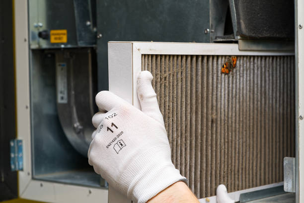 Best Air Duct Cleaning Near Me  in Coal Valley, IL