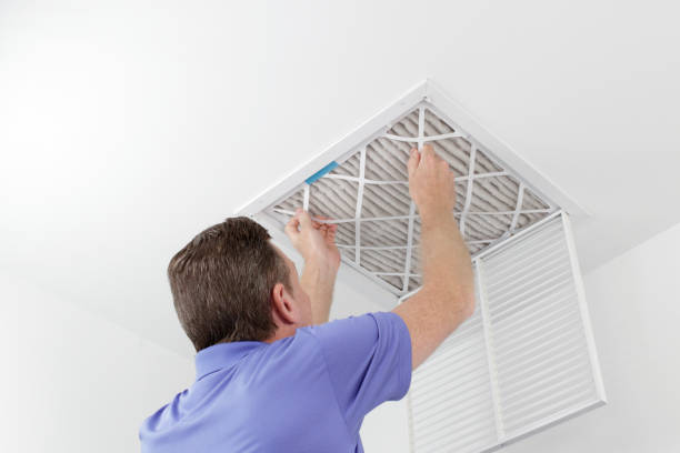 Best Air Vent Cleaning Services  in Coal Valley, IL
